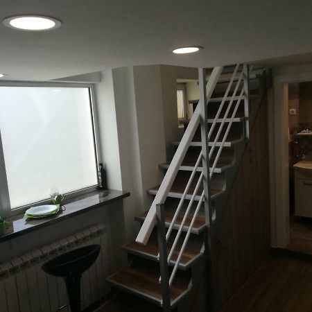 Classy And Cozy - Parking - 3 Beds - Near Center Novi Sad Buitenkant foto