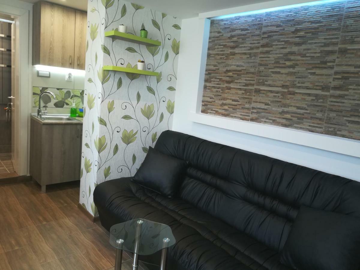 Classy And Cozy - Parking - 3 Beds - Near Center Novi Sad Buitenkant foto