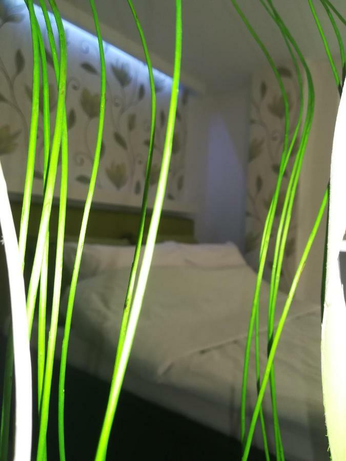 Classy And Cozy - Parking - 3 Beds - Near Center Novi Sad Buitenkant foto