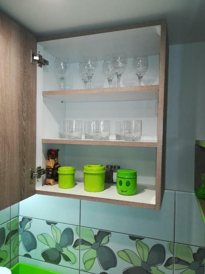 Classy And Cozy - Parking - 3 Beds - Near Center Novi Sad Buitenkant foto